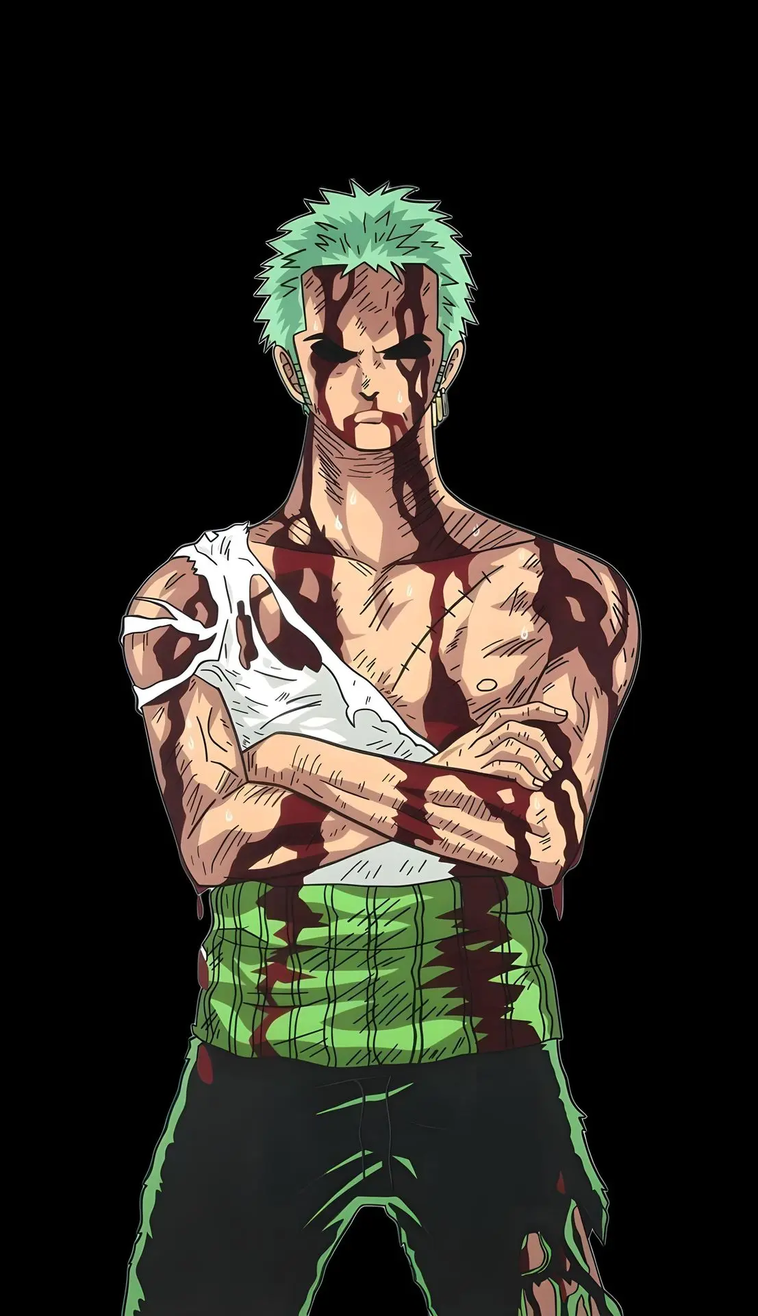 Nothing Happpened Roronova Zoro