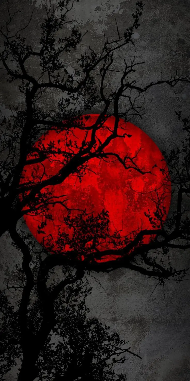 Anime Background 