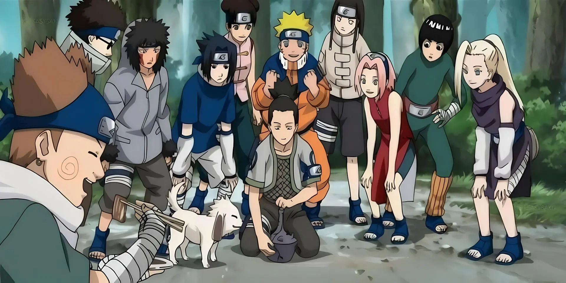 Naruto Junin Sanin 